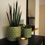 Deluxe-apartment Altstadt 公寓 *