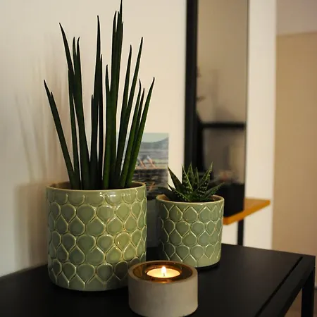 Deluxe-apartment Altstadt Lägenhet *